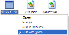 Run With VDMS